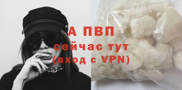 прущие крисы Магас