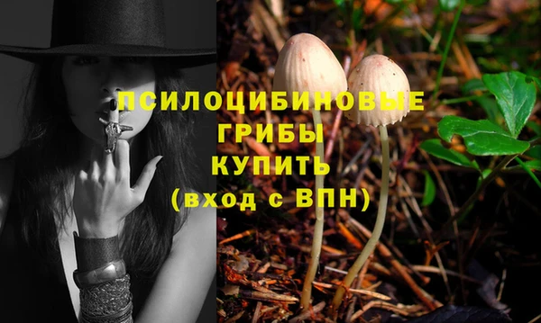 прущие крисы Магас